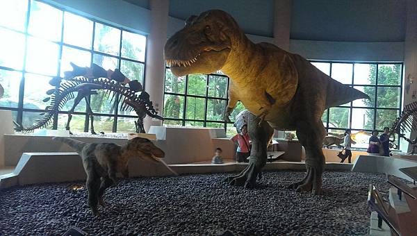 IMAG0521 (複製) IMAG0521 (複製)