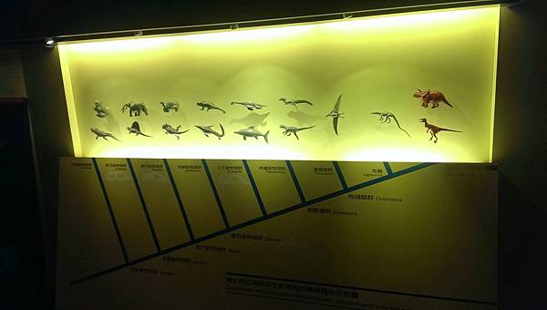 IMAG0518 (複製) IMAG0518 (複製)