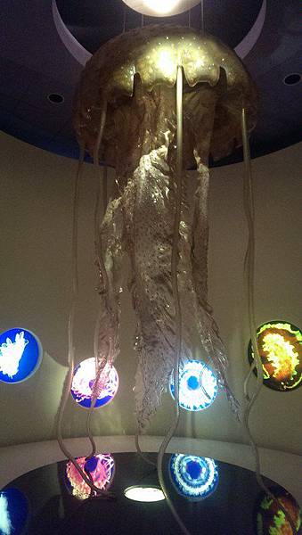 IMAG0514 (複製) IMAG0514 (複製)