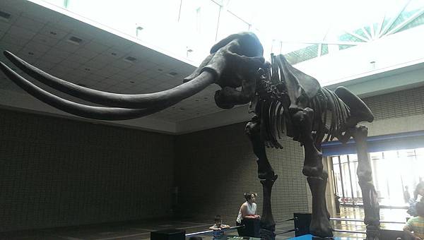 IMAG0513 (複製) IMAG0513 (複製)