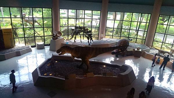 IMAG0535 (複製) IMAG0535 (複製)