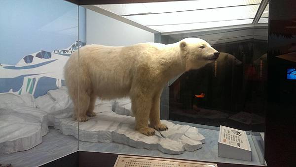 IMAG0536 (複製) IMAG0536 (複製)