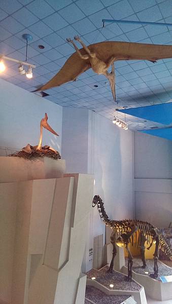 IMAG0534 (複製) IMAG0534 (複製)