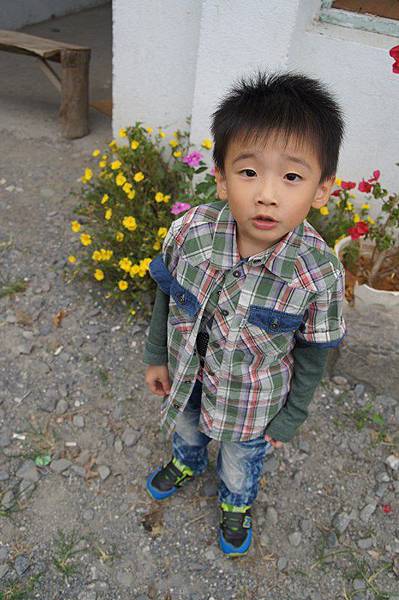 DSC08613 (複製) DSC08613 (複製)