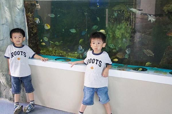 DSC08713 (複製) DSC08713 (複製)