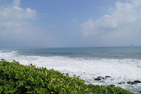 DSC08655 (複製) DSC08655 (複製)