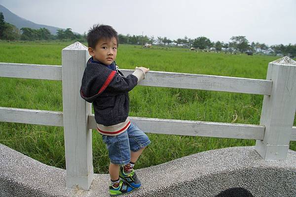 DSC08732 (複製) DSC08732 (複製)