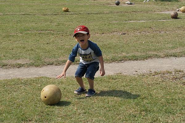DSC08757 (複製) DSC08757 (複製)