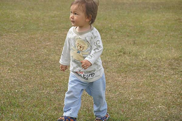 DSC08863 (複製) DSC08863 (複製)