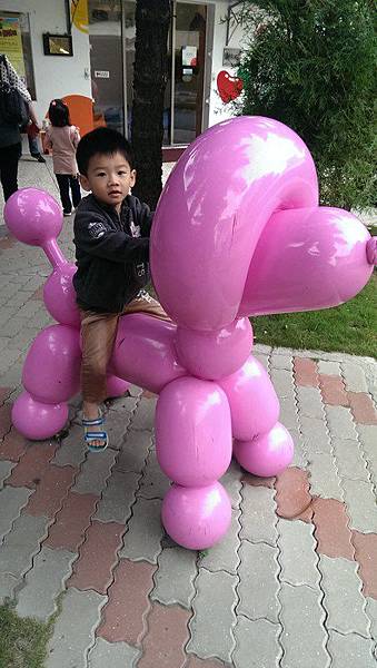 IMAG0021 (複製) IMAG0021 (複製)