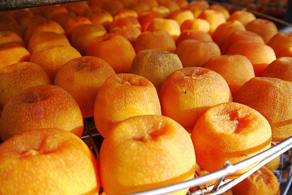 P1240200.JPG P1240200.JPG