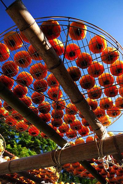 P1240209.JPG P1240209.JPG