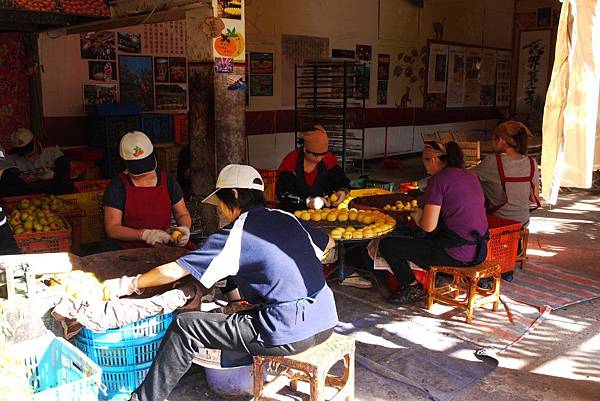 P1240248.JPG P1240248.JPG