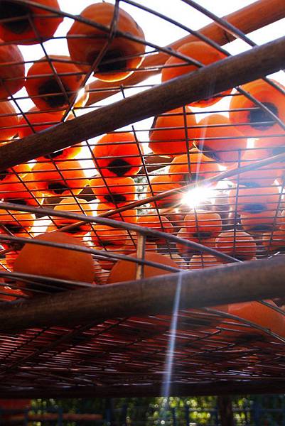 P1240254.JPG P1240254.JPG