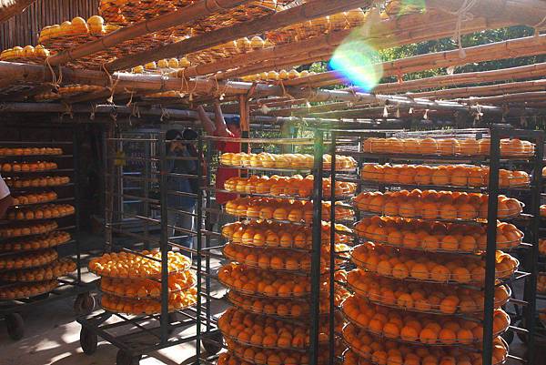 P1240269.JPG P1240269.JPG