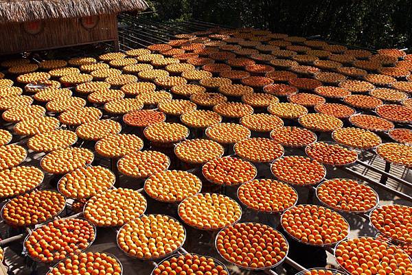 P1240293.JPG P1240293.JPG