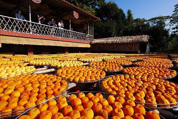 P1240309.JPG P1240309.JPG