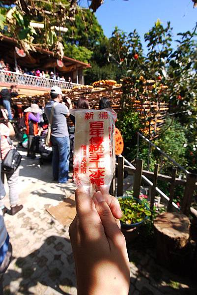 P1240373.JPG P1240373.JPG