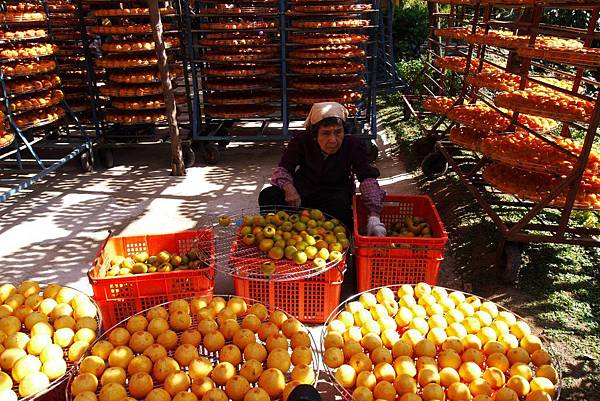 P1240374.JPG P1240374.JPG