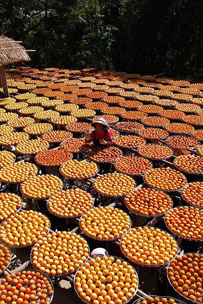 P1240398.JPG P1240398.JPG