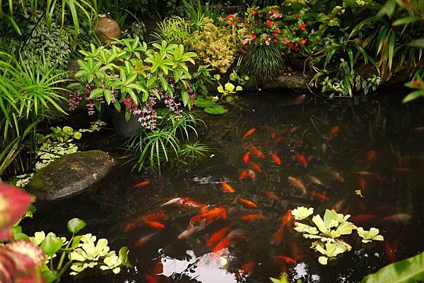 P1300844.JPG P1300844.JPG