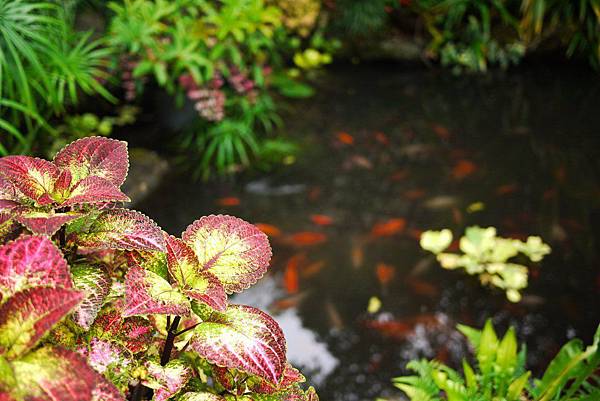 P1300845.JPG P1300845.JPG