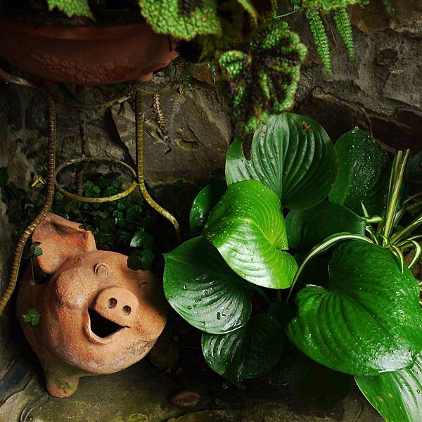 P1300847.JPG P1300847.JPG