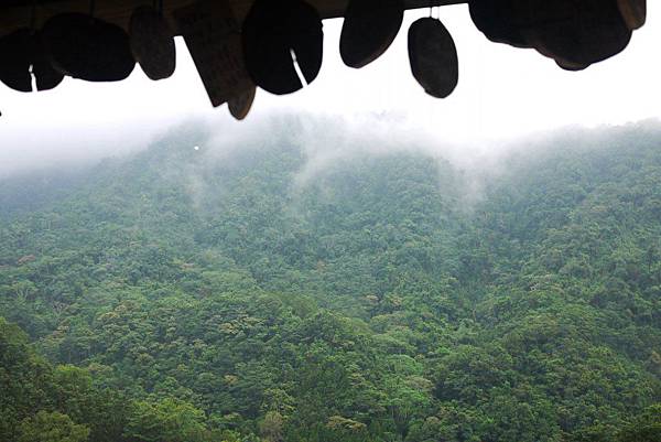 P1300852.JPG P1300852.JPG