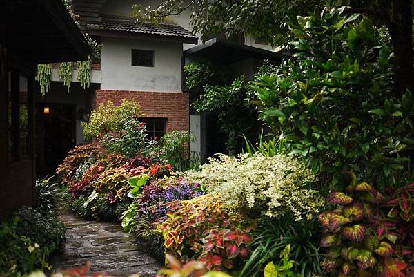 P1300830.JPG P1300830.JPG