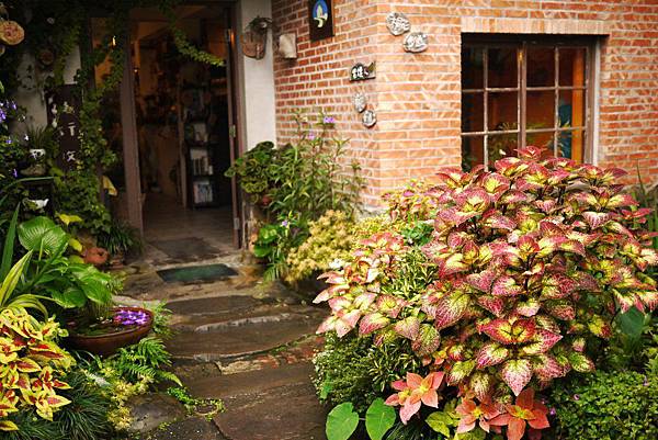 P1300843.JPG P1300843.JPG