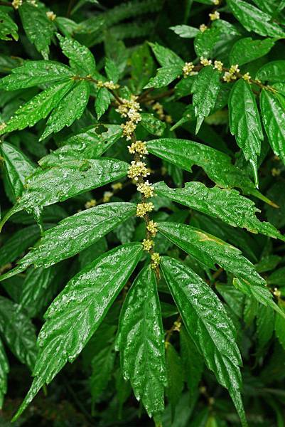 P1320202.JPG P1320202.JPG