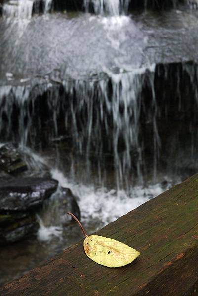 P1320193.JPG P1320193.JPG