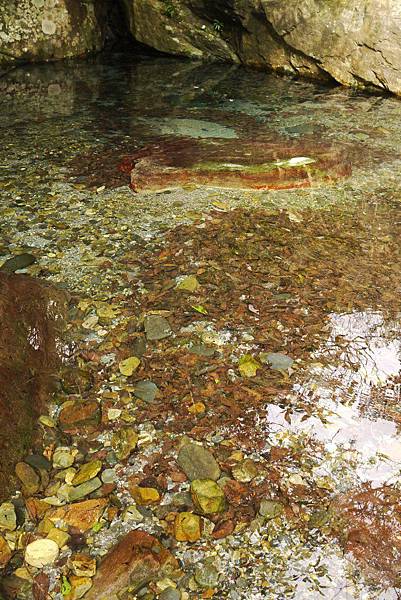 P1320211.JPG P1320211.JPG