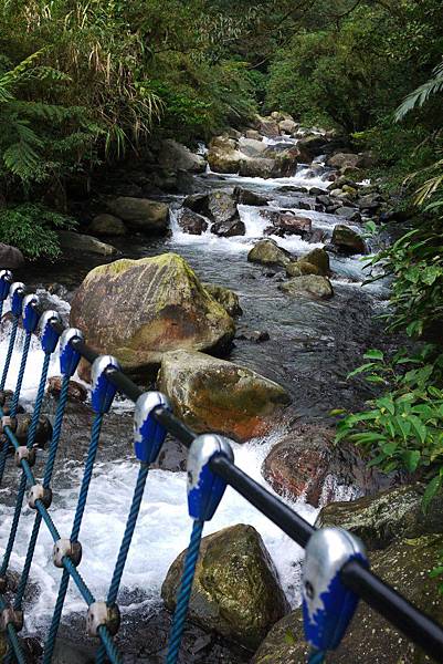 P1320208.JPG P1320208.JPG