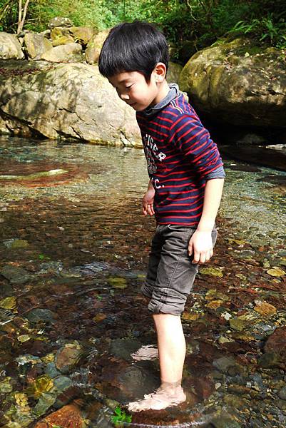 P1320218.JPG P1320218.JPG