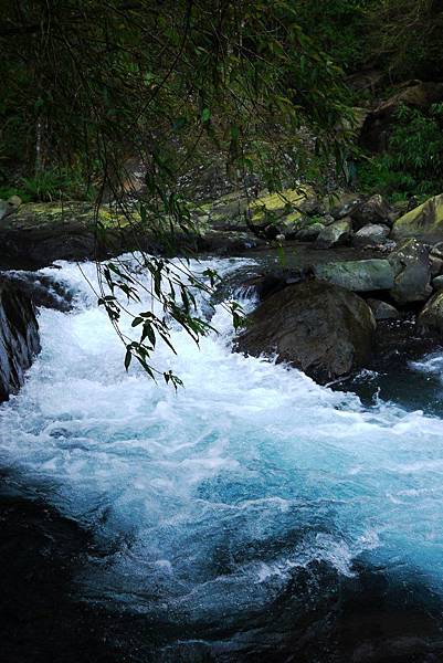 P1320226.JPG P1320226.JPG