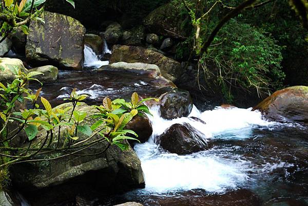 P1320248.JPG P1320248.JPG