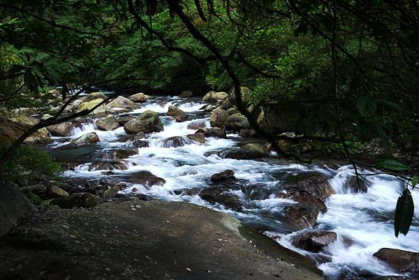 P1320254.JPG P1320254.JPG