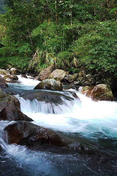 P1320257.JPG P1320257.JPG