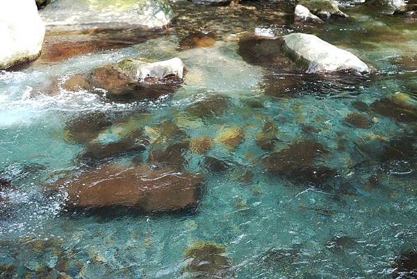 P1320274.JPG P1320274.JPG