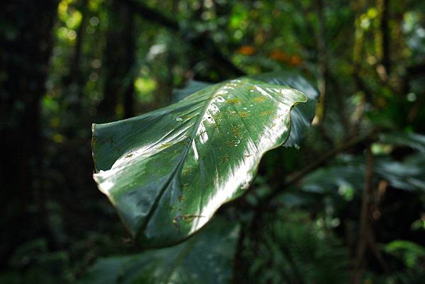 P1320278.JPG P1320278.JPG