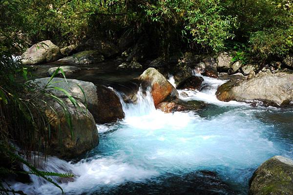 P1320281.JPG P1320281.JPG