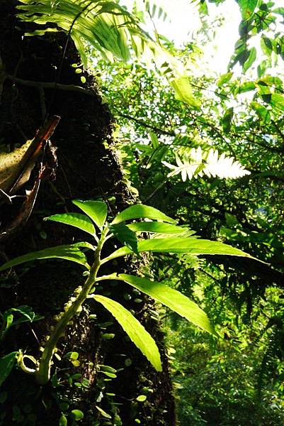 P1320283.JPG P1320283.JPG