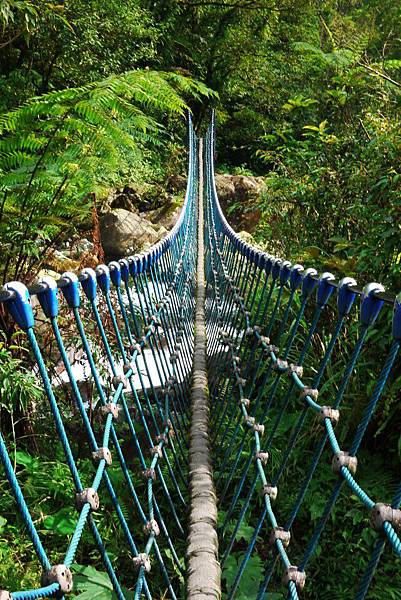 P1320284.JPG P1320284.JPG