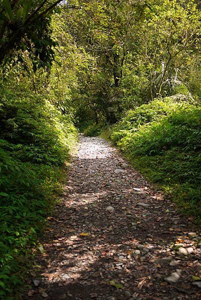 P1320288.JPG P1320288.JPG