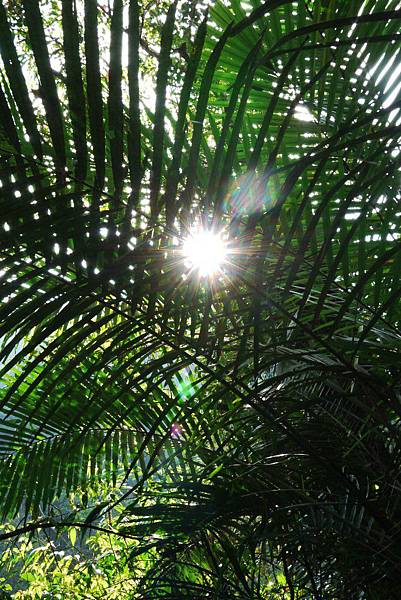 P1320291.JPG P1320291.JPG