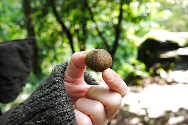 P1320293.JPG P1320293.JPG