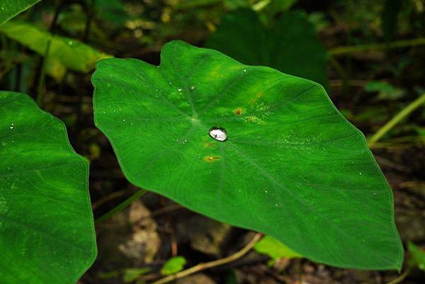 P1320311.JPG P1320311.JPG