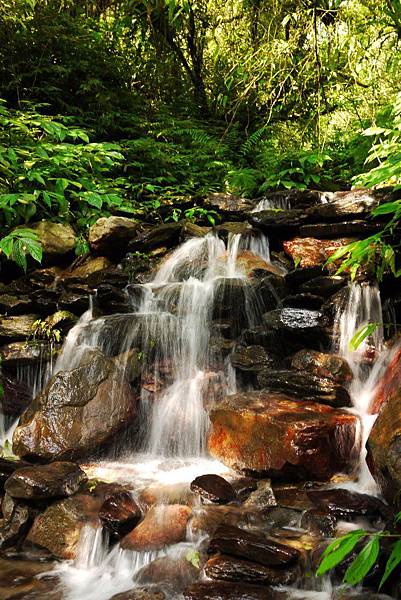 P1320308.JPG P1320308.JPG