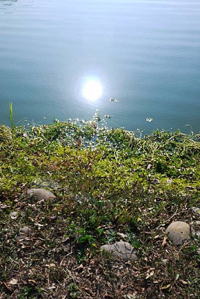 P1320695.JPG P1320695.JPG